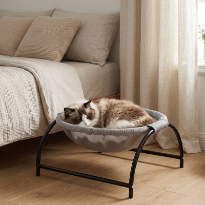 Hamac Chat | NidSerein™ - Univers Chat Nature