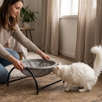 Hamac Chat | NidSerein™ - Univers Chat Nature