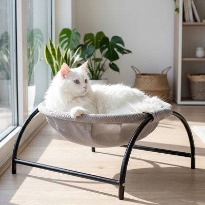 Hamac Chat | NidSerein™ - Univers Chat Nature