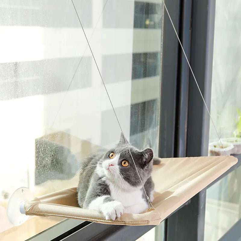 Hamac Chat - PetCatHangingBed™ - Jaune Clair - Univers Chat Nature