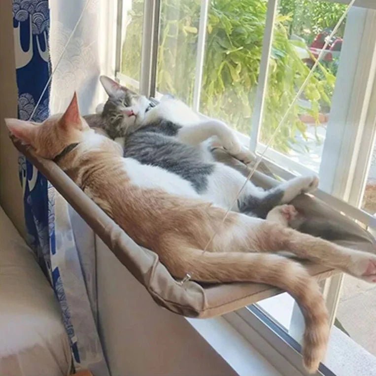 Hamac Chat - PetCatHangingBed™ - Jaune Clair - Univers Chat Nature