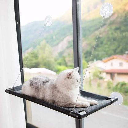 Hamac Chat - PetCatHangingBed™ - Noir - Univers Chat Nature
