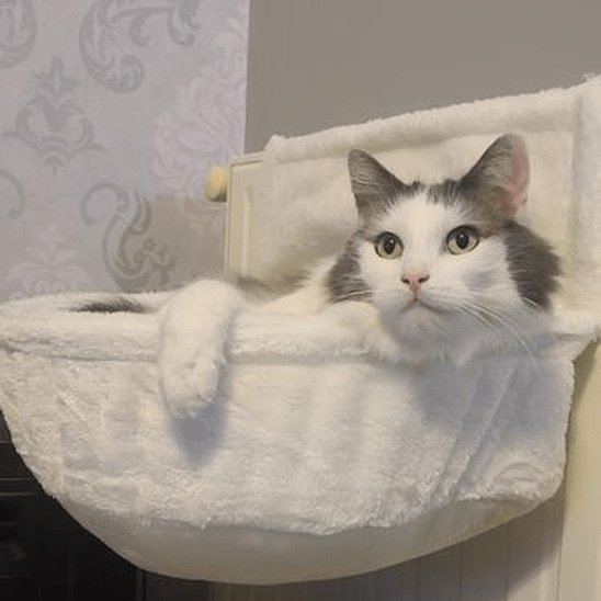 hamac chat radiateur | Ultra - Confortable™ - Univers Chat Nature
