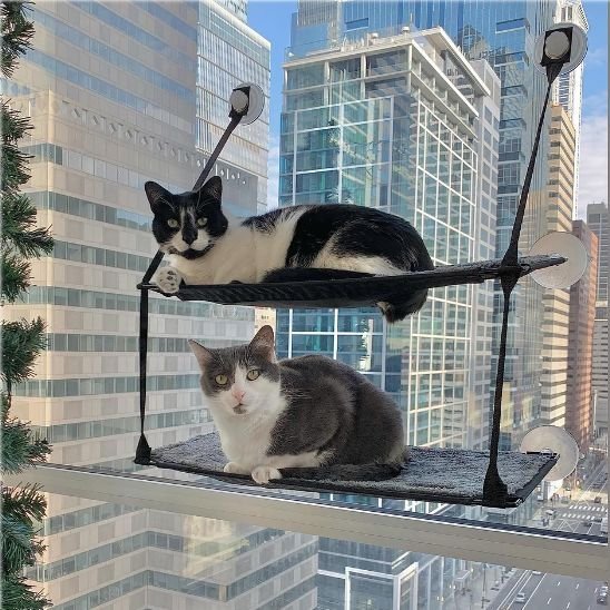 hamac fenetre chat | NidAérien™ - Univers Chat Nature