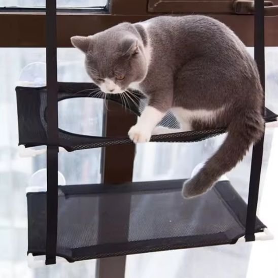hamac fenetre chat | NidAérien™ - Univers Chat Nature