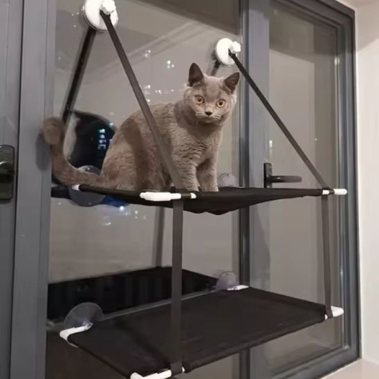 hamac fenetre chat | NidAérien™ - Univers Chat Nature
