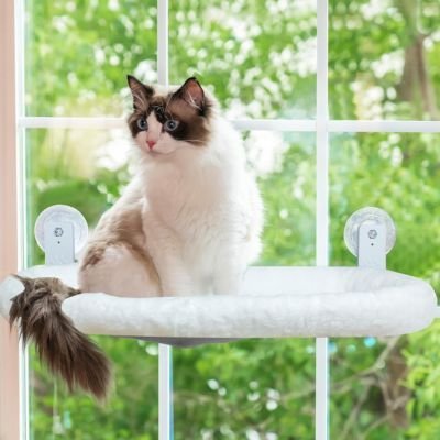 Hamac chat fenetre | ClielNid™ - Univers Chat Nature