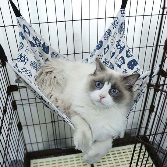 hamac pour chats | Douillet™ - Univers Chat Nature