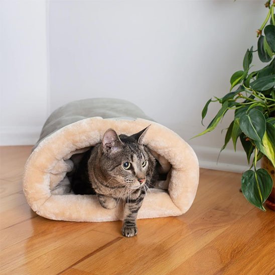 Panier Chat | Nidouillet™ - Univers Chat Nature