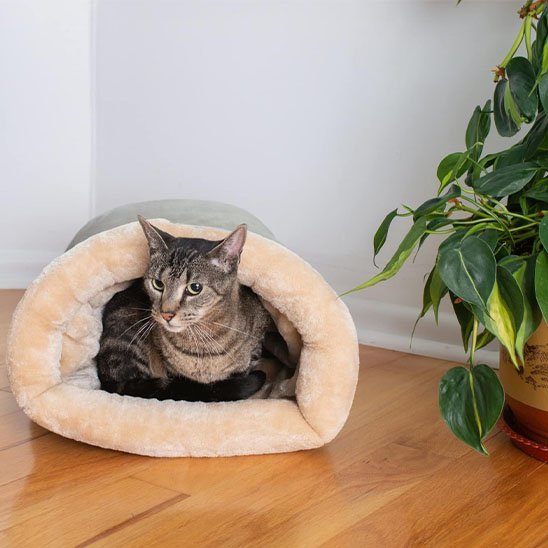 Panier Chat | Nidouillet™ - Univers Chat Nature