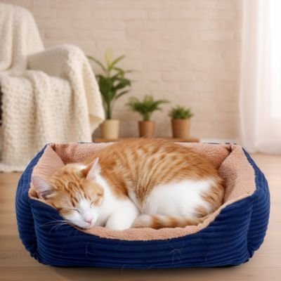 Panier chat | Plumevia™ design, douillet et confortable - Univers Chat Nature