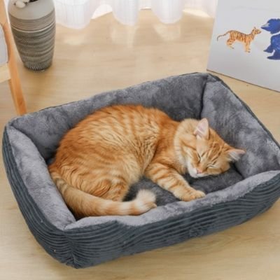 Panier chat | Serenium™ - Univers Chat Nature