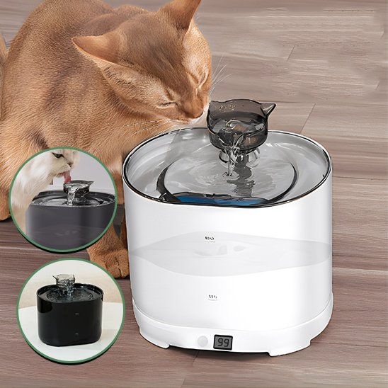 Fontaine à eau chat | Élégance™