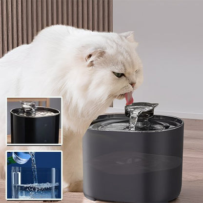 Fontaine à eau chat | Élégance™
