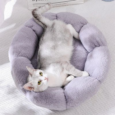 Coussin pour chat | Ultra - Confortable™ - Univers Chat Nature