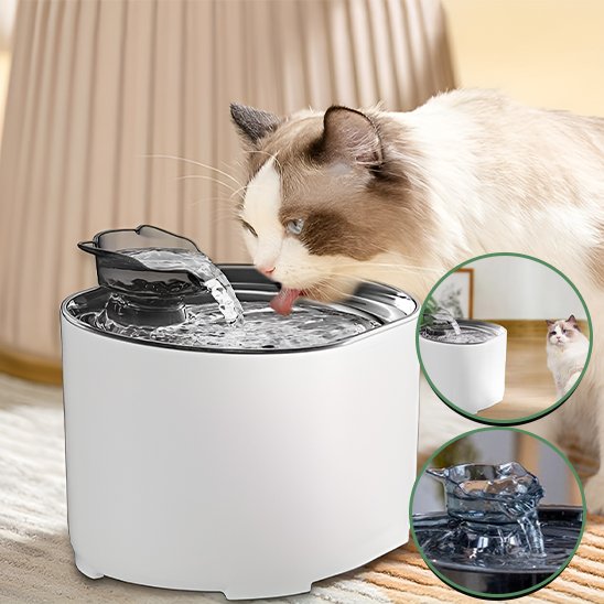 Fontaine à eau chat | Élégance™