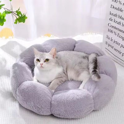 Coussin pour chat | Ultra - Confortable™ - Univers Chat Nature