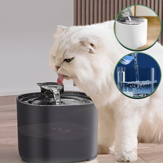 Fontaine à eau chat | Élégance™