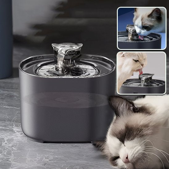 Fontaine à eau chat | Élégance™