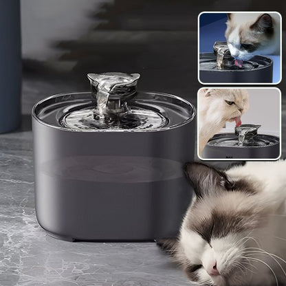 Fontaine à eau chat | Élégance™
