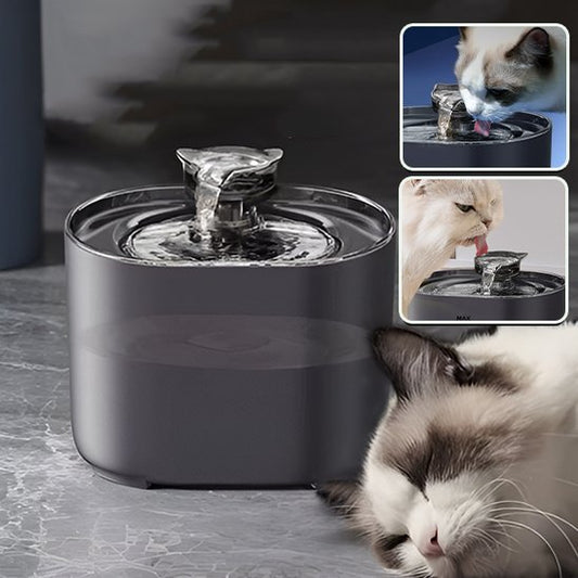 Fontaine à eau chat | Élégance™