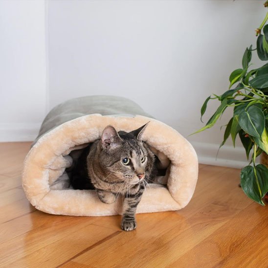 Coussin chat | Moelleux Premium™ - Univers Chat Nature