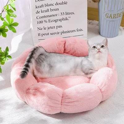 Coussin pour chat | Ultra - Confortable™ - Univers Chat Nature