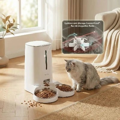 Distributeur automatique de croquettes chat | ConnectFeed™ - Univers Chat Nature