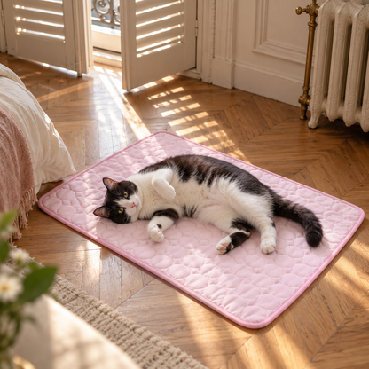 Chat noir et blanc qui se roule sur le tapis rafraîchissant dans une chambre à parquet point de Hongrie